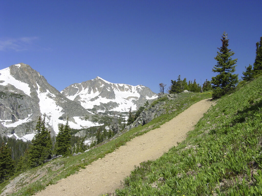 health life fit into