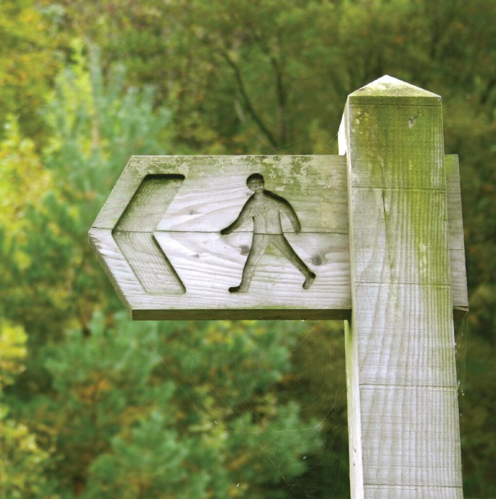 fit health into life